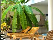 Top Cartagena de Indias