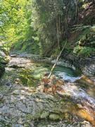 Naturrefugium mit Sauna und Bergbach
