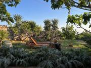 Color Villa - South Paradise 2