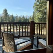 Top Ponderosa