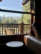 Top Ponderosa