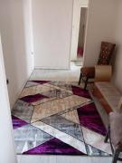 Entirely furnished apartment for rent in Maadi