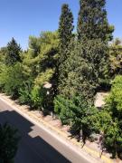 Renovated modern house with culture park view