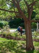 Hôtellerie LEnclos Rey