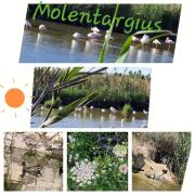 Top Quartu SantʼElena