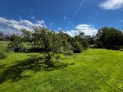 Top Wadowice Top Wadowice