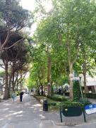Top Bibione