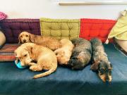 Top Acquaviva Picena