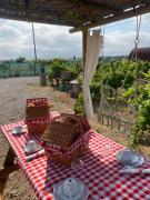 Top Palmela Top Palmela