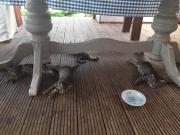 Top Przykona Top Przykona