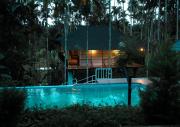 Top Wayanad