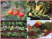 Top Ayia Evfimia Top Ayia Evfimia