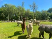 Poppy Cottage, Pembrokeshire