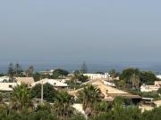 Ammare Ammare