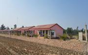 Top Japur
