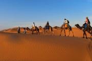 Top Merzouga