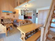 Duplex 89 pers avec terrasse Sud, proche pistes, Wi-Fi, animaux OK, parking + options - FR-1-393-92