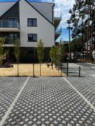 Top Dziwnówek Top Dziwnówek