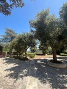 Villa San Michele by STHEY