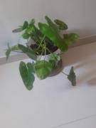 Top Mumbai Top Mumbai