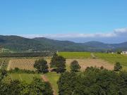 Top Régnié Durette