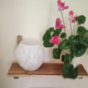 Dresden-Entspannung-Natur-trifft-2-Städte-am-Fluss