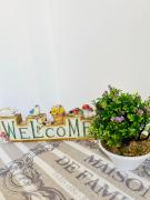 Casa Alessio a 15 minuti dal mare