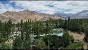 Top Leh