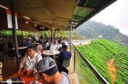 Top Tanah Rata