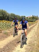 Top Citta' Sant'Angelo