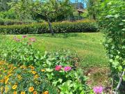 Top Cabezón de Liébana