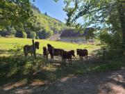 Top Monestier-de-Clermont