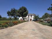 Top Carbonia Top Carbonia