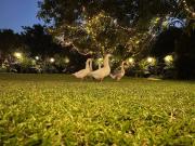 Farmhouse with Camping