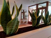 Top Tafalla Top Tafalla