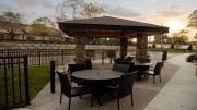 Top Auburn Hills
