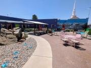 Top Truth or Consequences