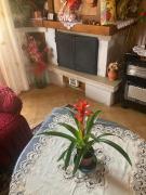 Top San Quirico dʼOrcia