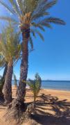 Top Mar de Cristal