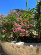 Top Saint-Paul-Trois-Châteaux