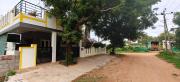 Top Mysore