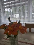 Top Unichowo Top Unichowo