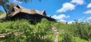 Soroi Cheetah Tented Camp