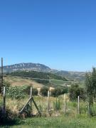 Top Trarivi