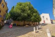 Top Rovinj