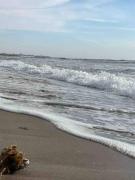 A zen and chic beachfront apartment