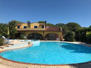 Top Aprilia Marittima