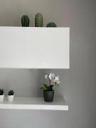 Top San Maurizio Canavese