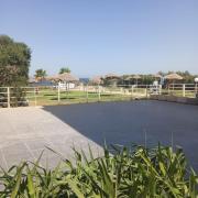 S1 Chat Mariem Vue Mer