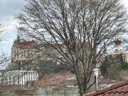Top Sigmaringen